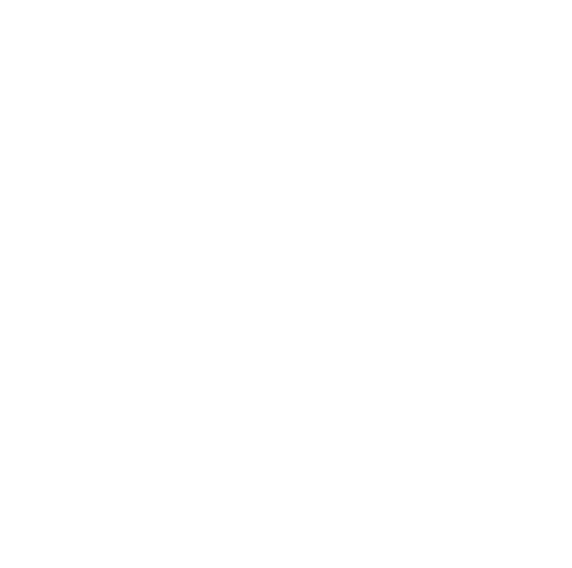 Медведь и Слон